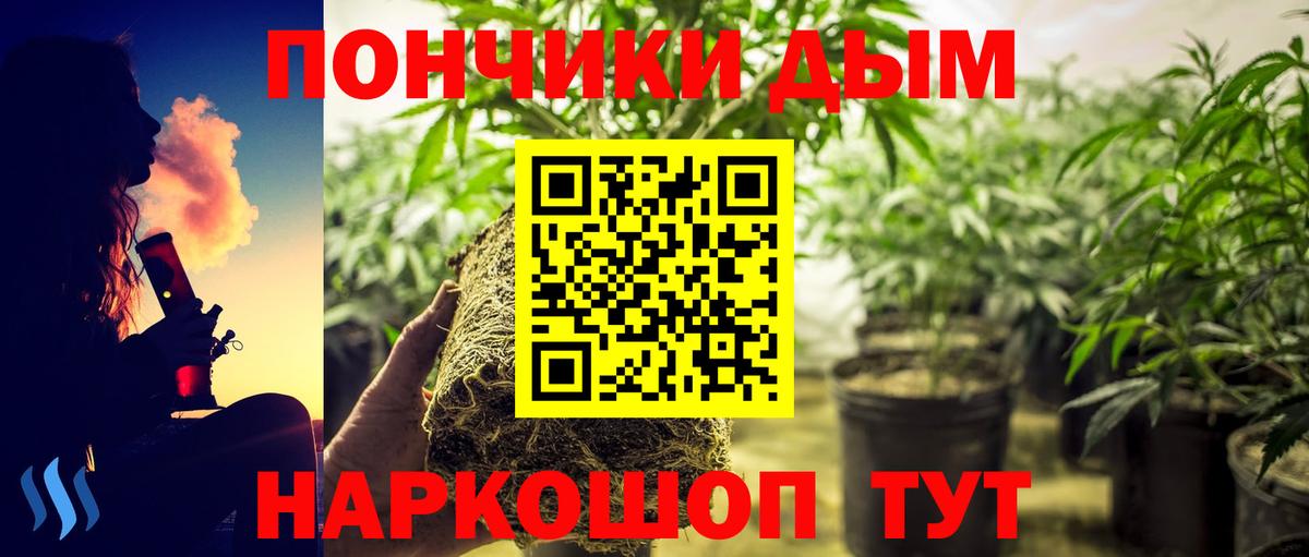 Каннабис гибрид Ишимбай